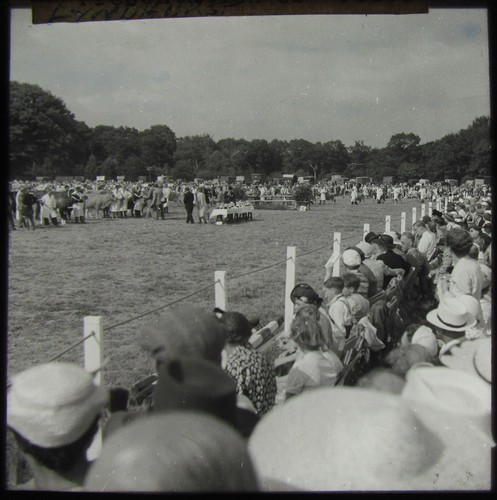 Magisches laternendia gymkhana - magisches,