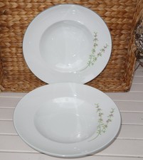 2 Pastateller Spaghetti Teller