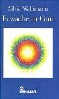 Erwache in Gott von Wallimann, Silvia | Buch | Zustand akzeptabel
