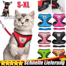 Katzengeschirr mit Leine