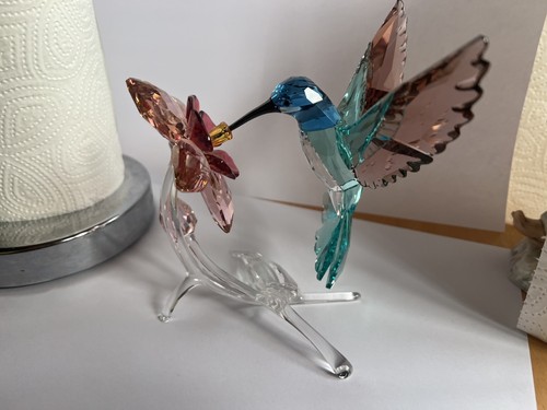 Swarovski kolibri paradise - kolibri,