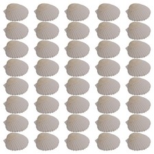 40 Stück Natürliche