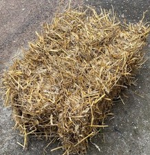 Stroh 15kg Sollingstroh