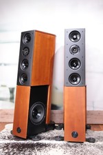 Audio Physic Cardeas