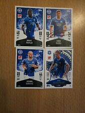 Match Attax 24/25 SV Darmstadt