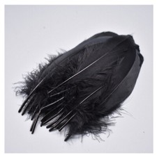 50 Stück Deko Federn groß