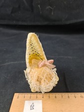 Wiege Kinderbett Babybett Kunststoff Puppenstube antik alt