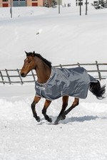 Bucas Smartex Turnout Extra Weidedecke Winterdecke mit Fleece iron 115-165