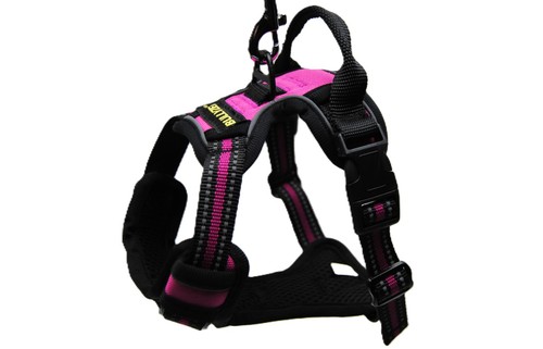Premium hundegeschirr - premium,
