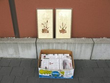  1 Bananenkarton mit gerahmten echten Blumenbildern