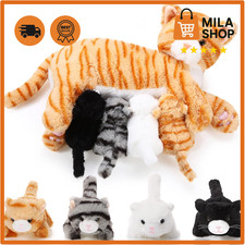 Plüschtiere katzen set baby - plüschtiere,