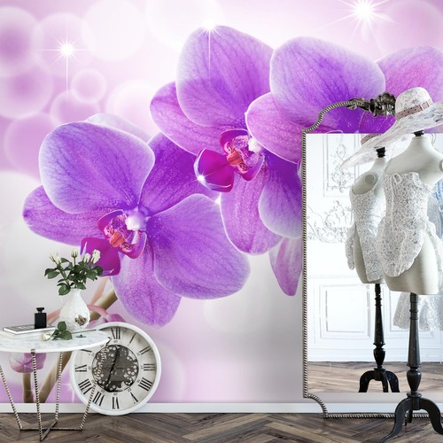 Fototapete orchidee blumen - fototapete,