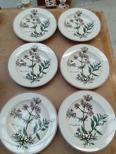 Villeroy Boch Botanica
