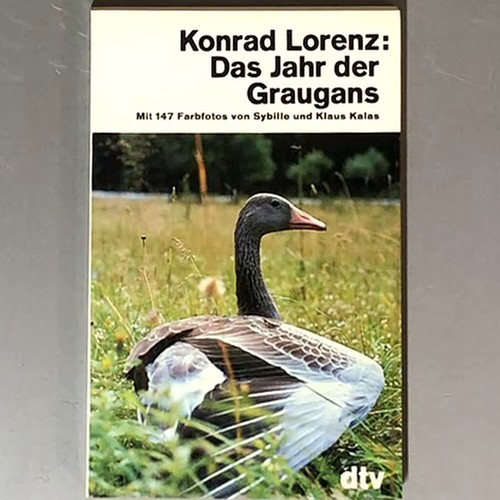 Das jahr der - das, graugans,