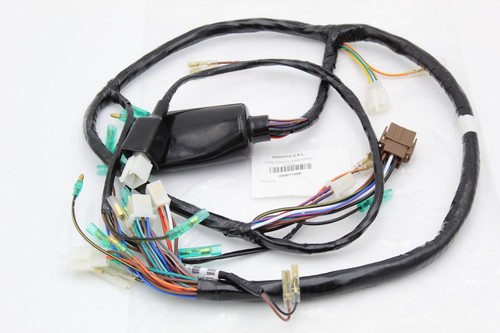 Kawasaki elektrisches system - kawasaki,