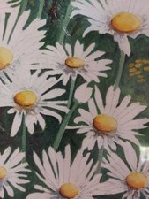 Gemälde, Aquarell, Margeriten