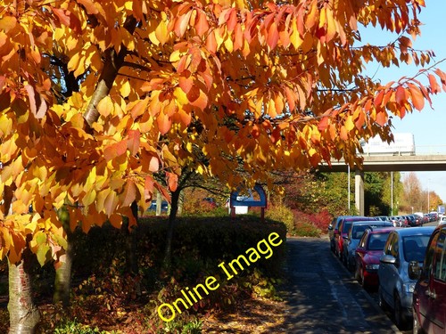 Foto 6x4 herbstfarben entlang - 6x4,
