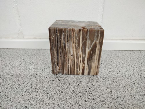 Versteinertes holz mit - versteinertes,
