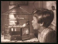 Fotografie Knabe trillert Kanarienvogel im Käfig etwas vor 