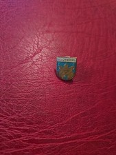  Alte Anstecknadel Souvenir