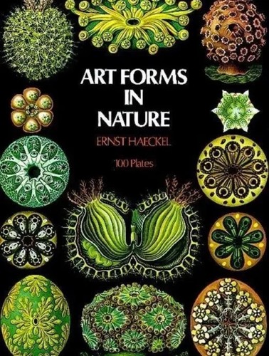 Ernst haeckel art forms - |,