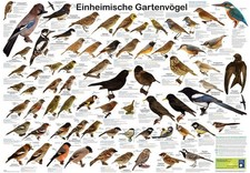 Puzzle (2000 T.) Einheimische