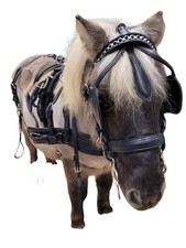 WEISSL Mini Shetty Geschirr