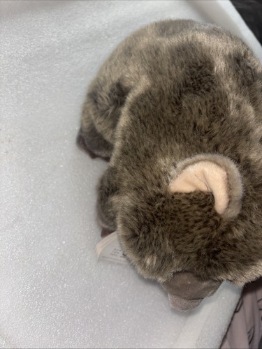 Wwf plüschtier wombat cm - 28,