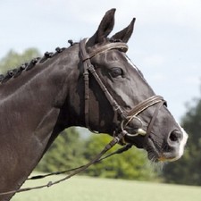 Kieffer Trensenzaum Trense