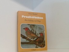 Prachtfinken ihre Haltung u
