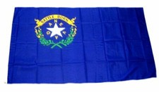 Fahne / Flagge USA - Nevada 90