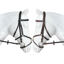 Reitsport Mexikanischer