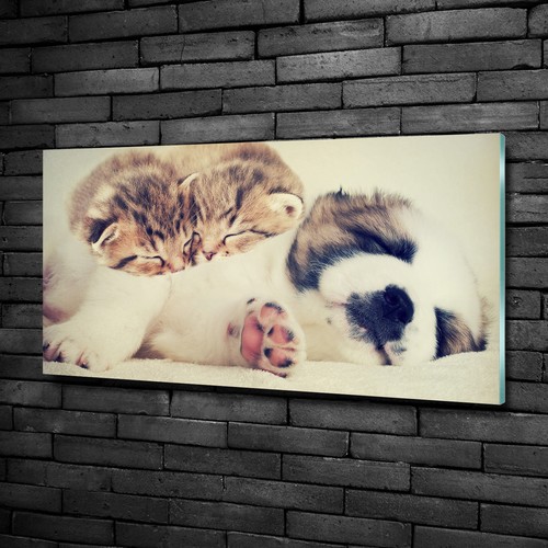 Wandbild glas bild - glas-bild, auf