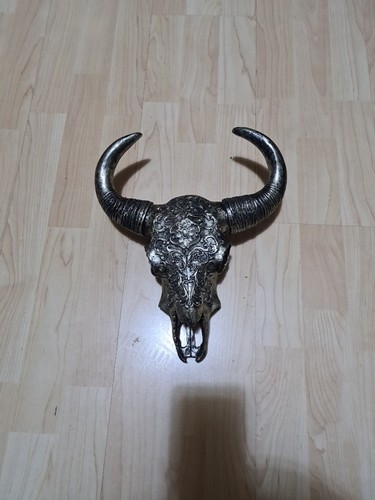 Büffel schädel wand - büffel,