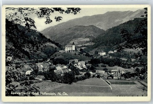 50992547 hollenstein - -,