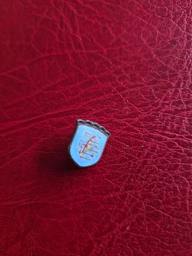 Alte anstecknadel - ,