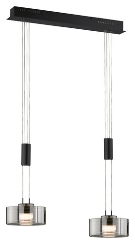 Fischer honsel lavin - honsel,