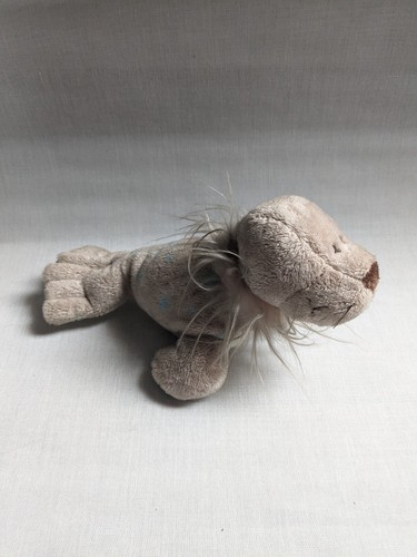 Nici robbe seehund - seehund, cm