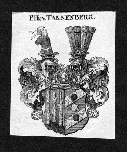 1820 tannenberg wappen - tannenberg, adel