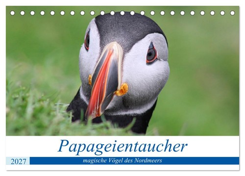 Papageientaucher 2027 - ,