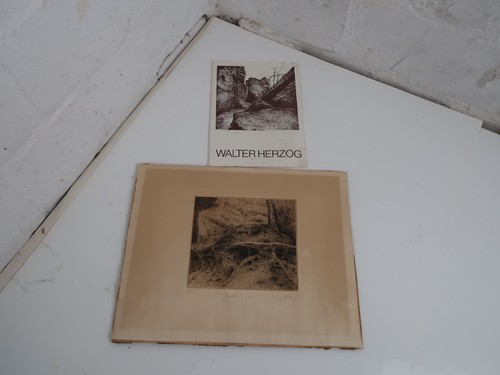 Walter herzog radierung ea - herzog,