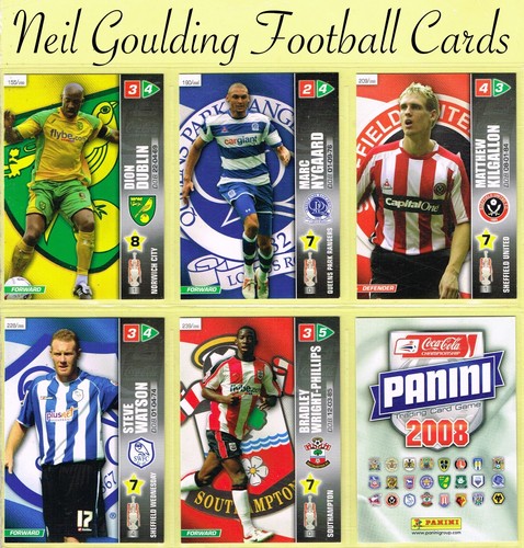 Panini 2007 - -08, ☆