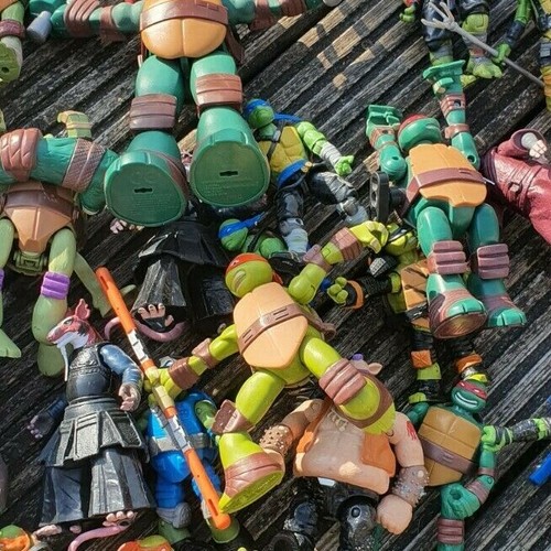 Teenage mutant ninja turtles - ninja,