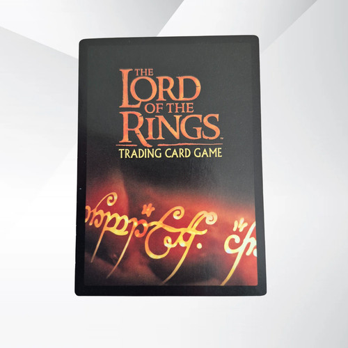 Herr der ringe - return, of