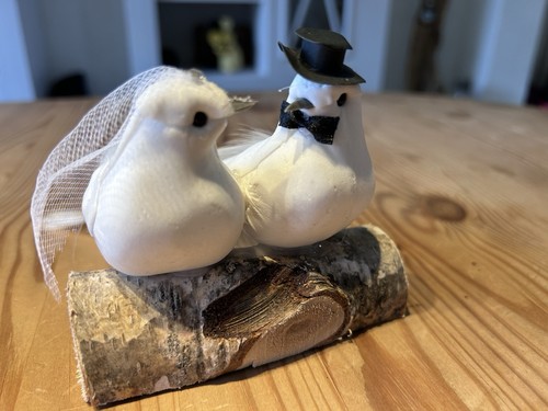 Tauben auf holzblöcken - tauben,