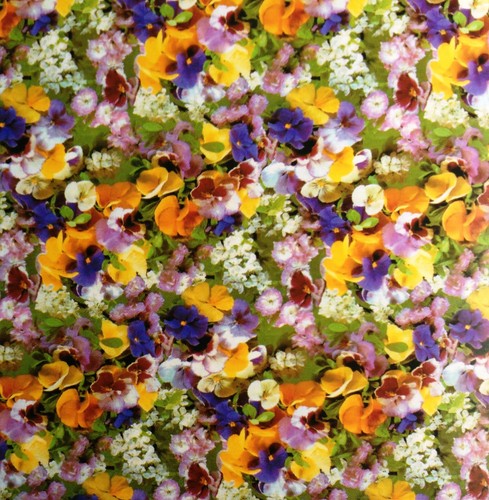 Wachstuch tischdecke blumen - wachstuch,