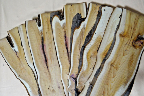 Eiben holz brett bohle - eiben,