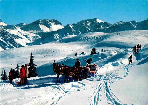 Pferdeschlitten arosa - pferdeschlitten,