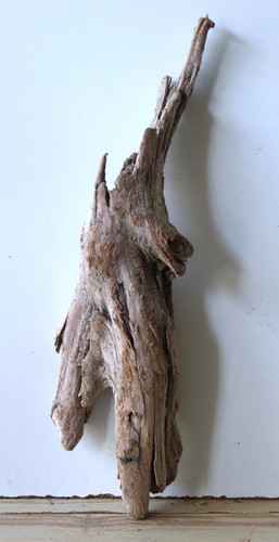 Treibholz schwemmholz - treibholz,