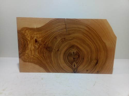 Baumscheibe holzscheibe - baumscheibe,,